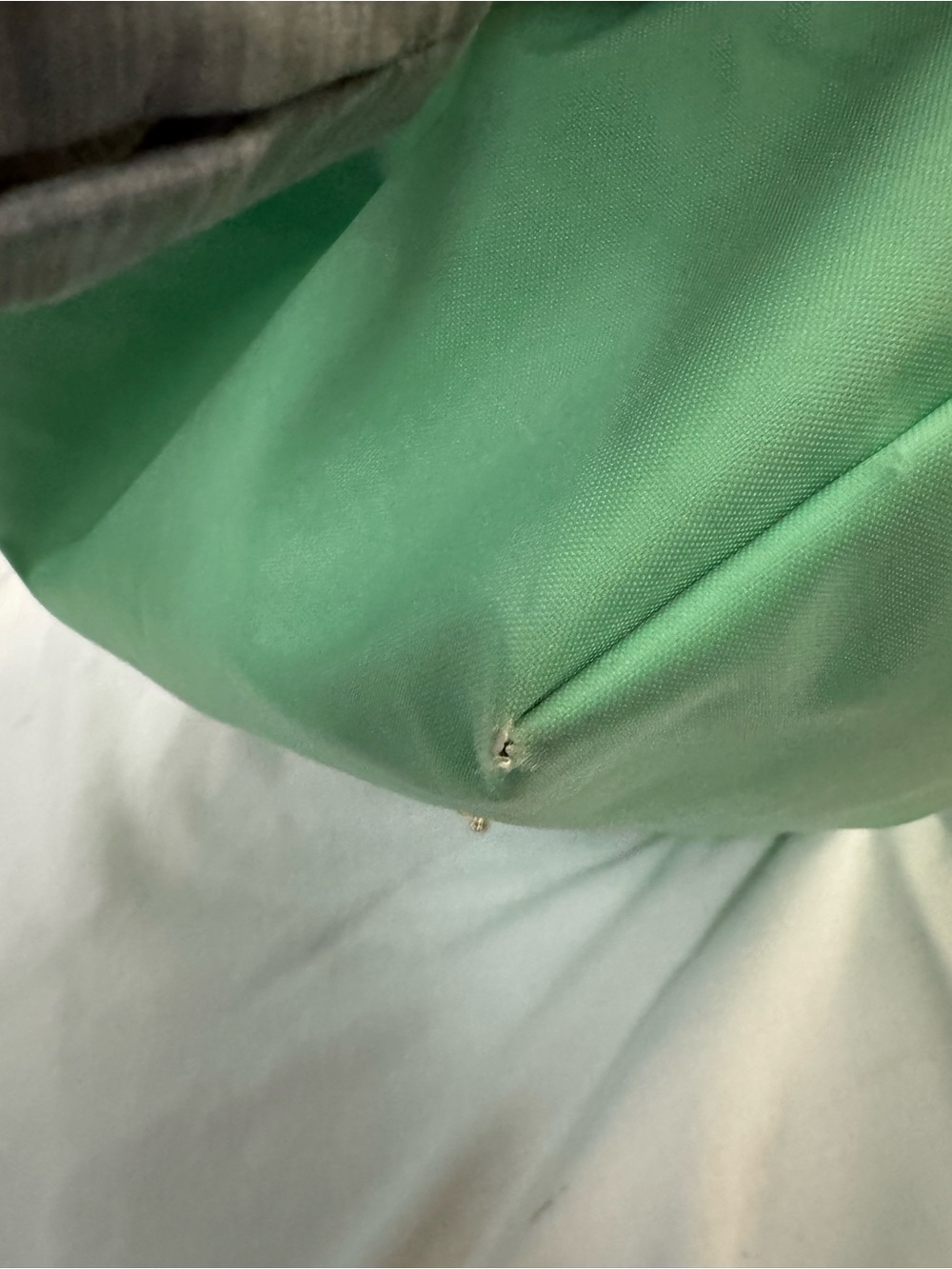 Longchamp Green Tote with Pink Lettering and Brown Trim - Picture 6 of 14